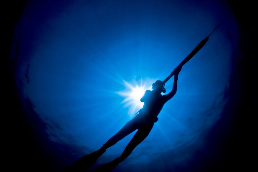Spear phishing diver in blue sea
